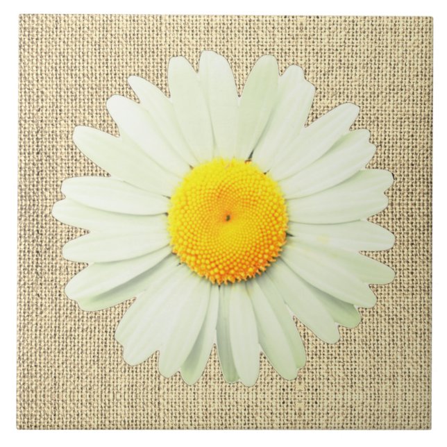 White Daisy Tile (Front)