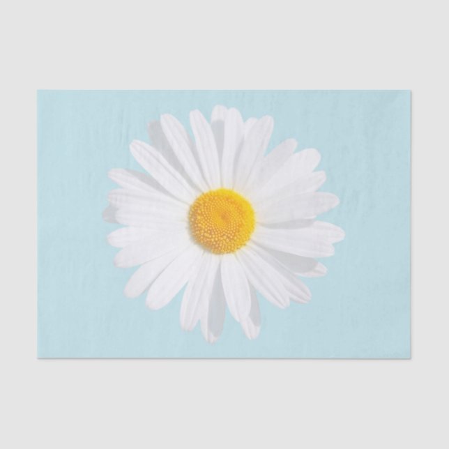white daisy tissue paper (Front)