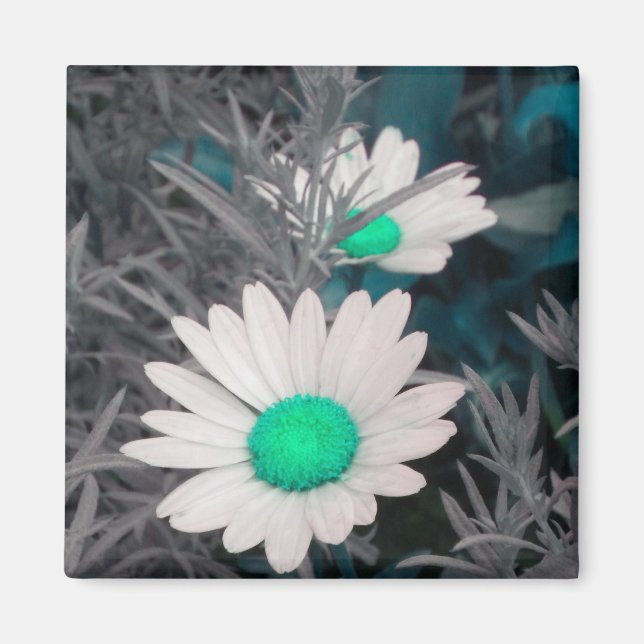 White Daisy (w Green) magnet (Front)
