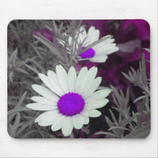 White Daisy (w Purple) mousepad