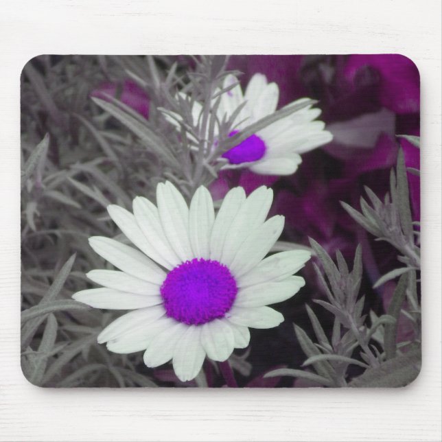 White Daisy (w Purple) mousepad (Front)