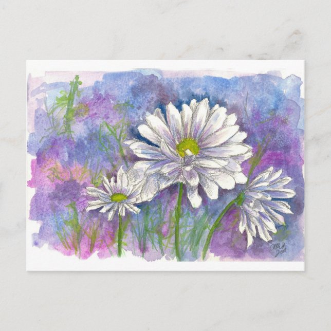 White Daisy Watercolor Flowers Blue Postcard (Front)