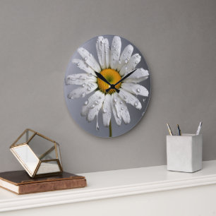 White Daisy With Raindrops Large Clock