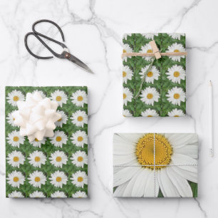 White Daisy Wrapping Paper Sheet