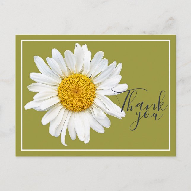 White Daisy Yellow Centre Green Backdrop Thank You Postcard (Front)