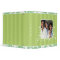 White Damask Lime Striped and Aqua Photo Binder