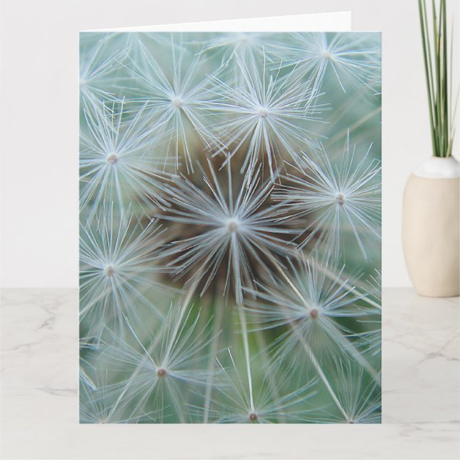 White Dandelion Card (Front)