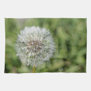 White dandelion flower on green grass kitchen towel