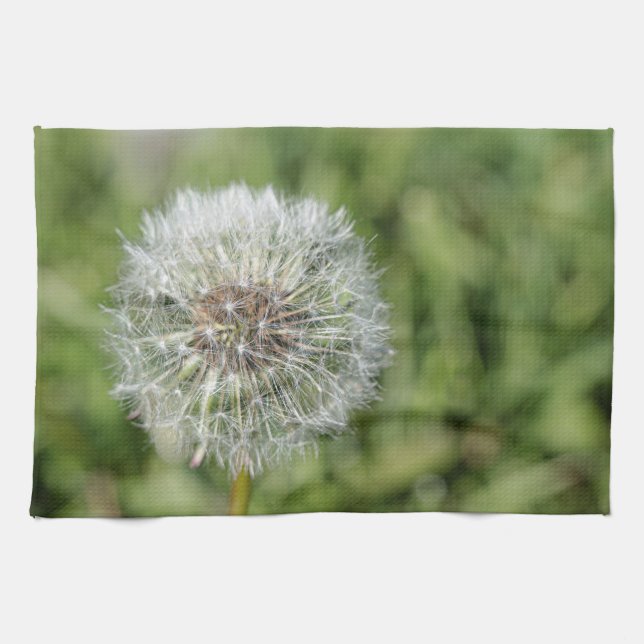 White dandelion flower on green grass kitchen towel (Horizontal)