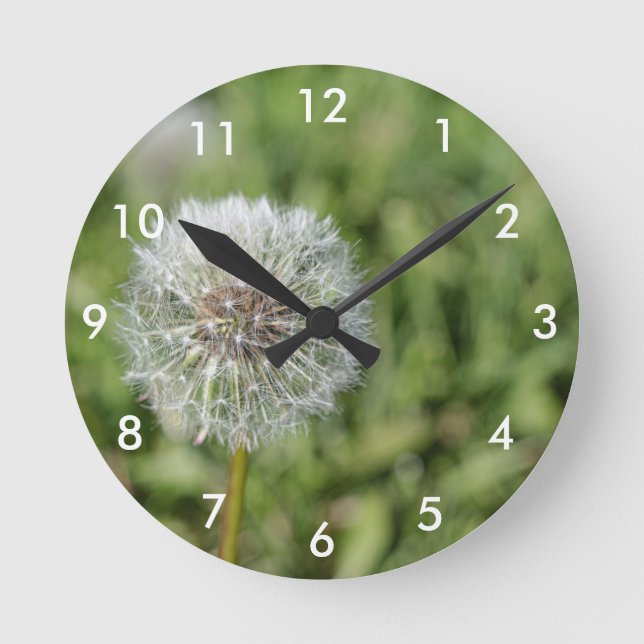 White dandelion flower on green grass round clock (Front)