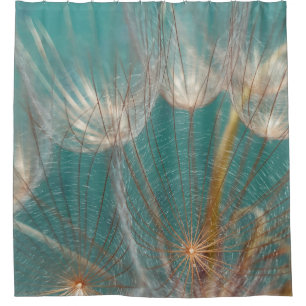 White dandelion in close up photography