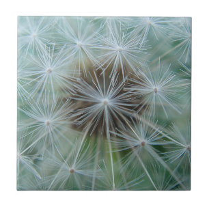 White dandelion pattern tile
