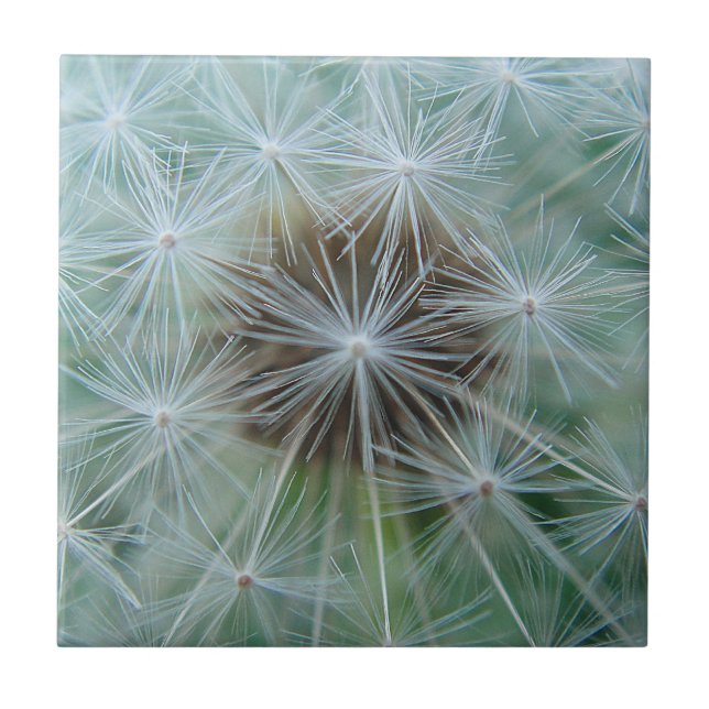 White dandelion pattern tile (Front)