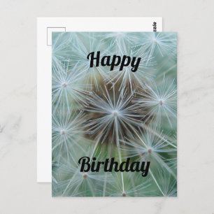 White Dandelion Postcard