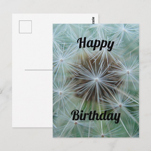 White Dandelion Postcard (Front/Back)