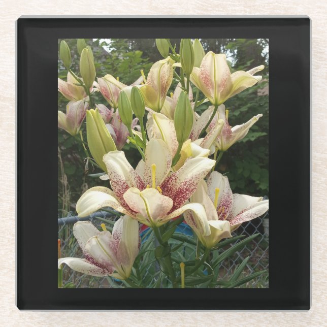 White Daylilies  Glass Coaster (Front)