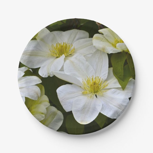 White Delight Paper Plate (Front)