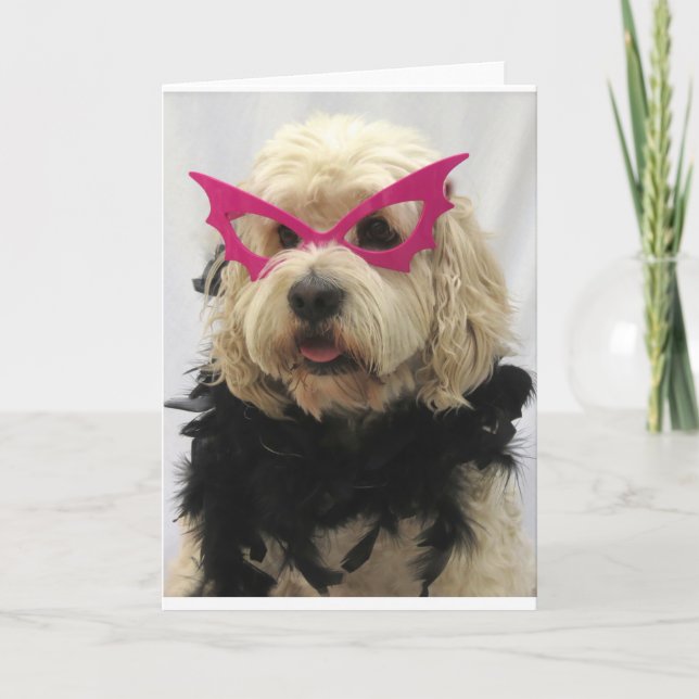 white dog,costume, funny,humour,glasses on dog, card (Front)
