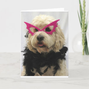 white dog,costume, funny,humour,glasses on dog, card