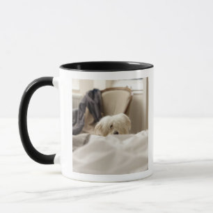 White dog hiding behind bed (differential focus) mug