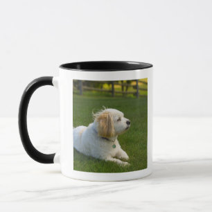 White dog mug