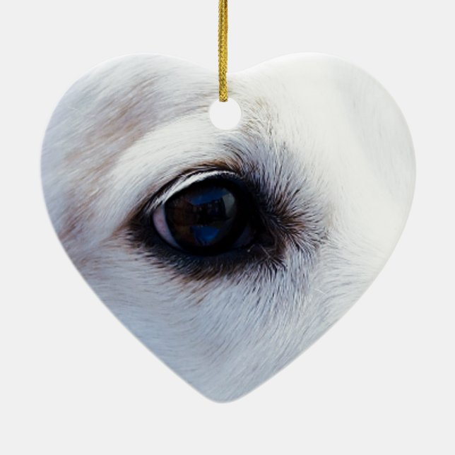 White Dog with Faithful Eyes, Animal Pets Dogs BFF Ceramic Ornament (Back)