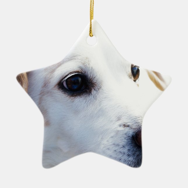 White Dog with Faithful Eyes, Animal Pets Dogs BFF Ceramic Ornament (Front)