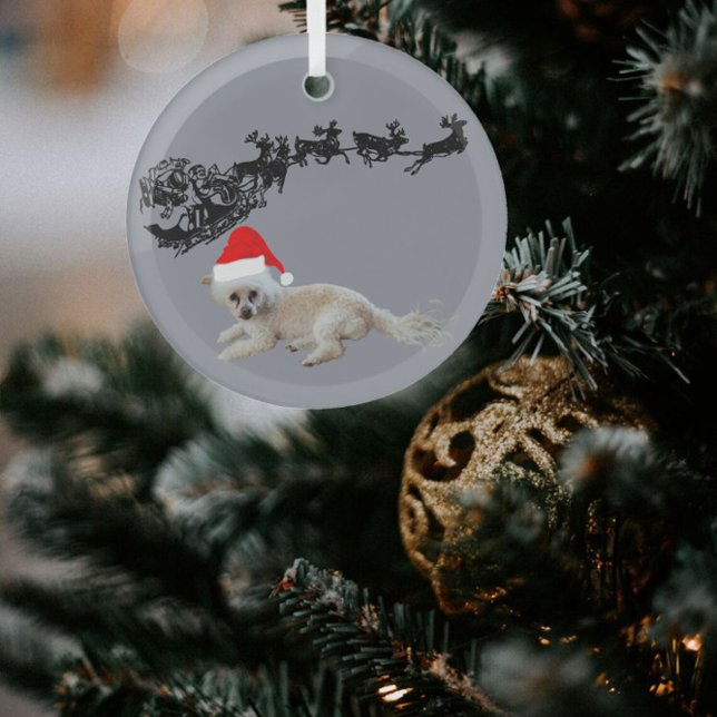 White Dog with Santa Hat | Sleigh and Reindeer  Glass Ornament (Creator Uploaded)