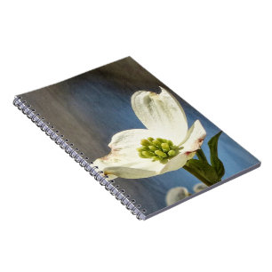 White Dogwood Bloom Notebook