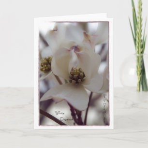 White Dogwood Card
