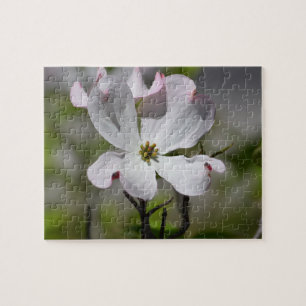 White Dogwood Flower Jigsaw Puzzle