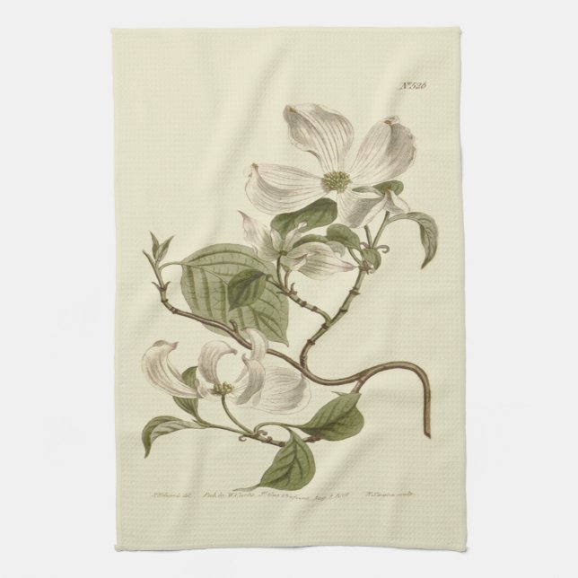 White Dogwood Flowers Illustration Kitchen Towel (Vertical)