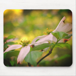 White Dogwood Flowers Mouse Pad