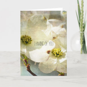 White Dogwood Flowers Thinking of you Card