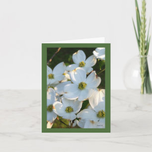 White Dogwood (Raw) Card