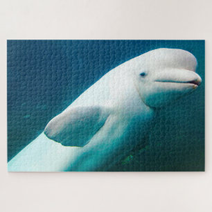 White Dolphins of the seas. Jigsaw Puzzle