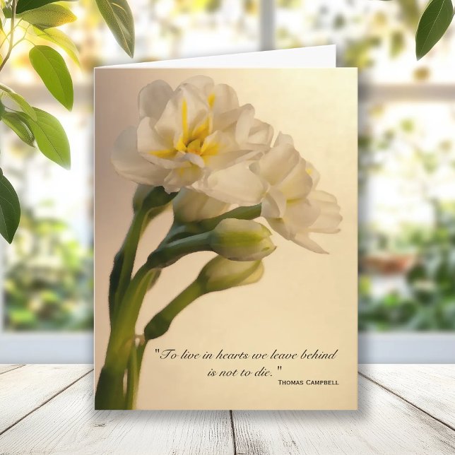 White Double Daffodils Sympathy Thank You (Creator Uploaded)