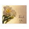 White Double Daffodils Thank You