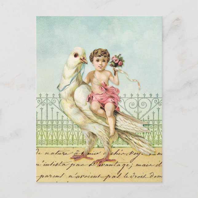 White Dove and Cherub Postcard (Front)