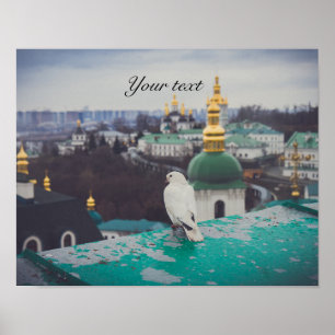 White dove at orthodox monastery in Kyiv Poster