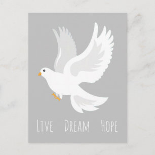 White dove bird on grey postcard