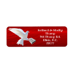 WHITE DOVE HOLDING BIBLE