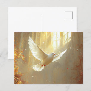 White Dove in the Light Painting Postcard