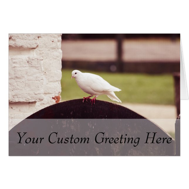 White Dove On A Fence (Front Horizontal)