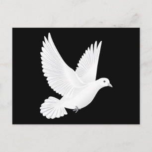 White dove postcard
