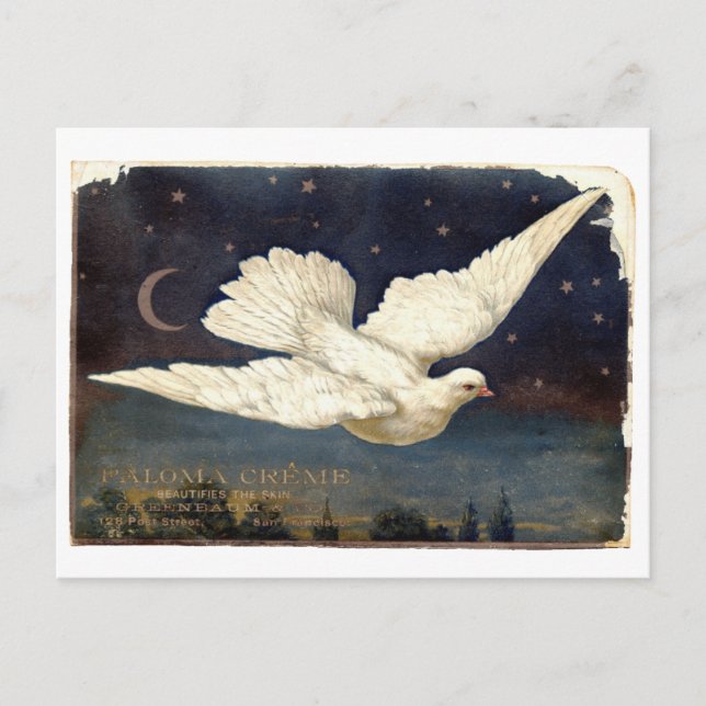 white dove postcard (Front)