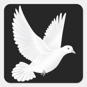 White dove square sticker