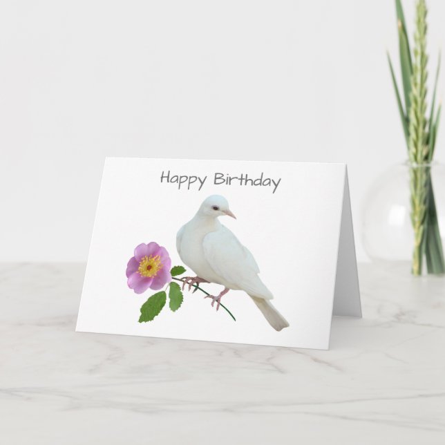White Dove with Wild Rose Birthday Card (Front)