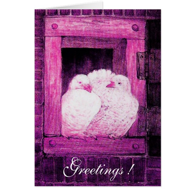 WHITE DOVES AT THE WINDOW, pink purple violet (Front)