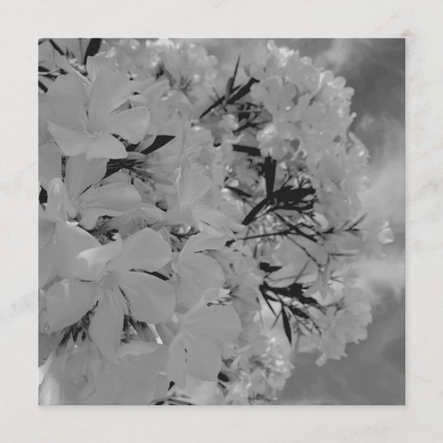 White Draped Floral Menu (Front)